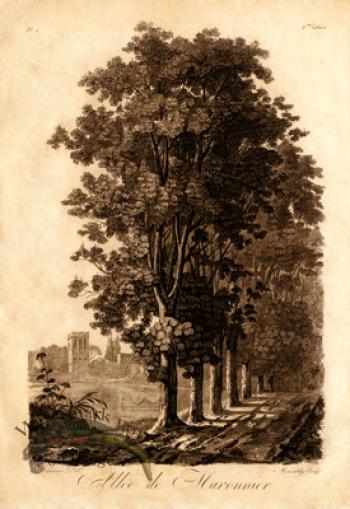 Defiennes Trees 12 S